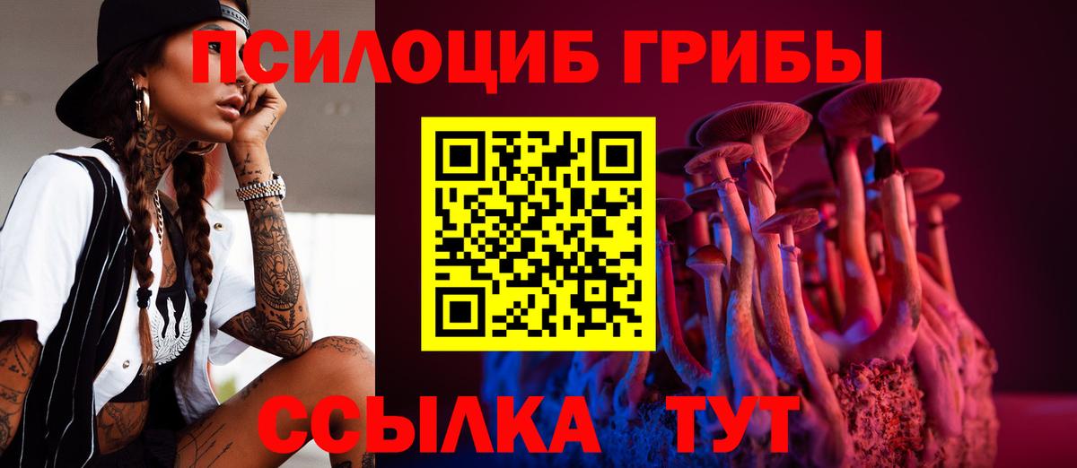 Галлюциногенные грибы MAGIC MUSHROOMS  Псилоцибиновые грибы Cubensis  как найти наркотики  Вход с VPN  Кропоткин 